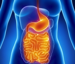 龙马治疗器与慢性肠炎