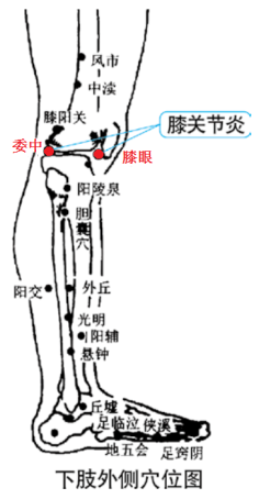 龙马膝关节治疗仪